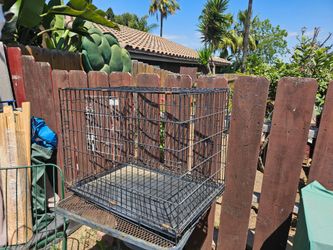 Dog crate kernel