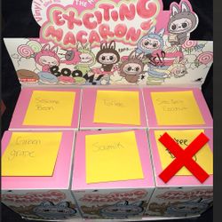 Exciting Macaron Labubu