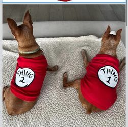 Thing 1 Thing 2 Dog Clothes Size XL ✨new