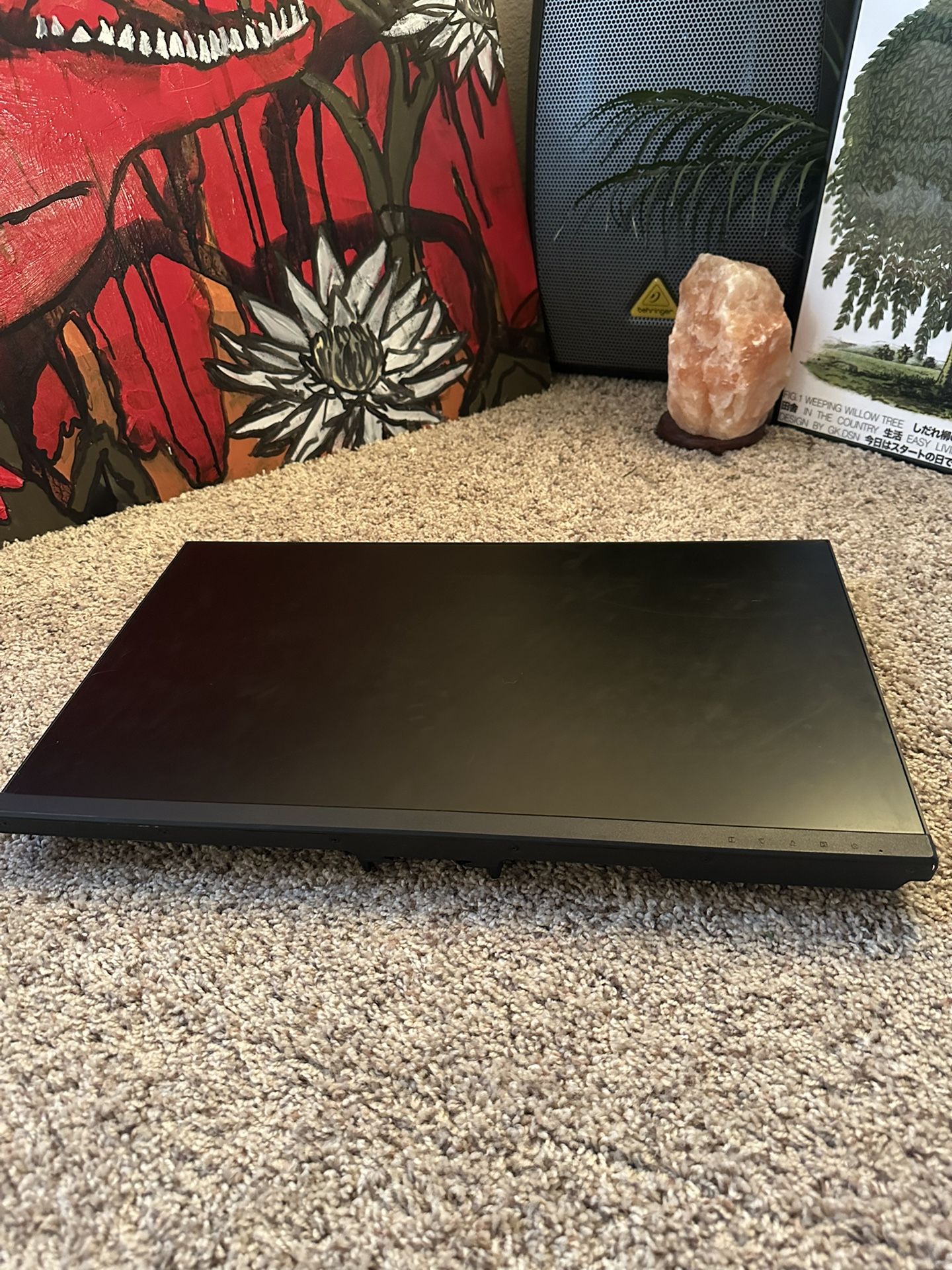 Computer monitor