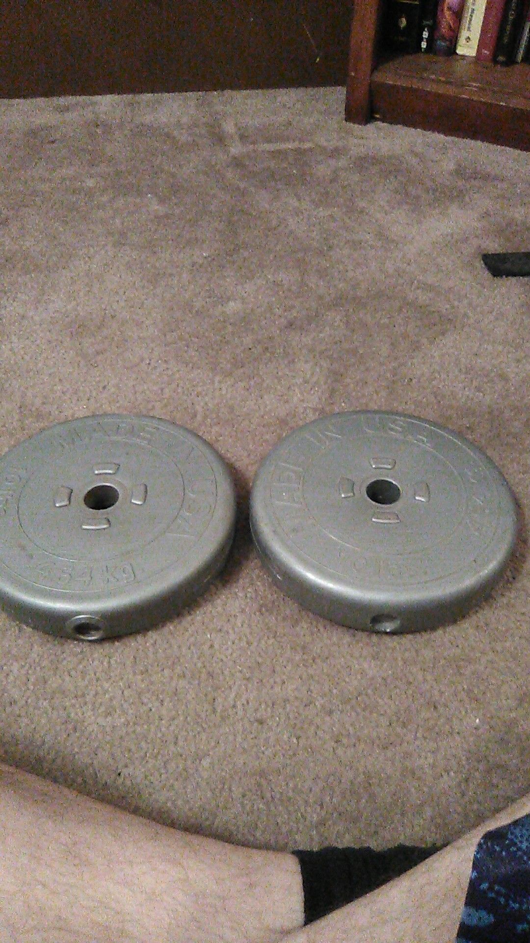 Two 10-lb weight plates