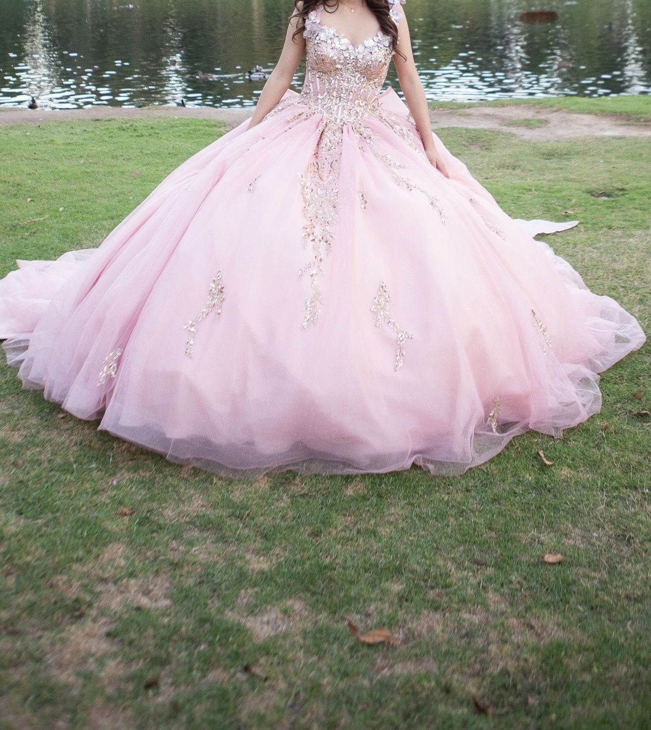 Quinceanera Sweet 16 Dress