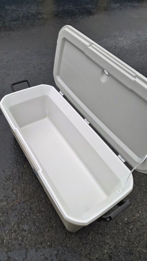 Cooler Large.  Coleman 