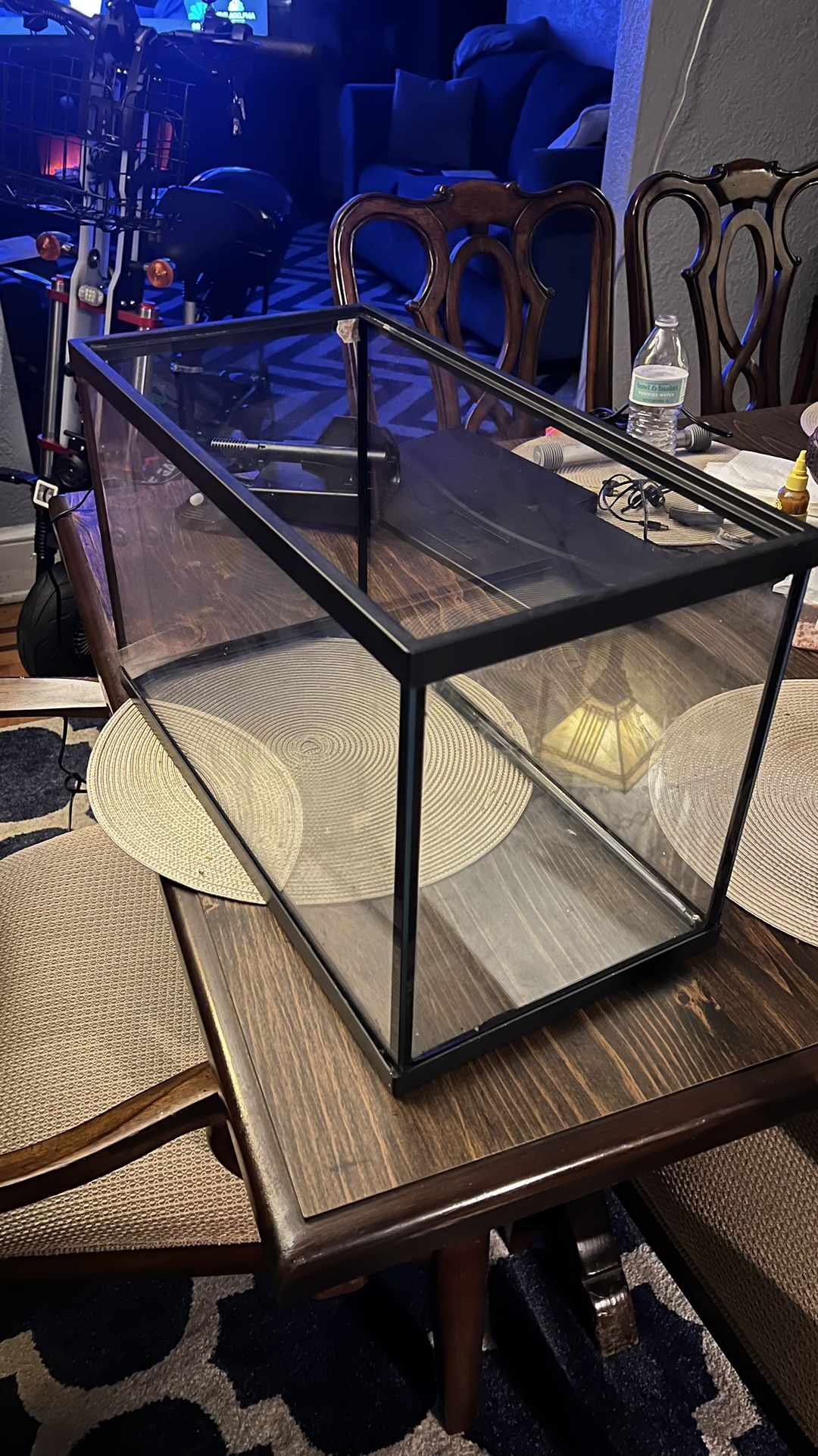 Fish 🐟 Tank