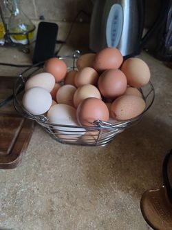 Huevo De Gallinas docena
