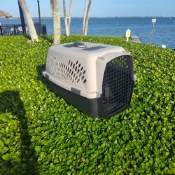 Pet Carrier 