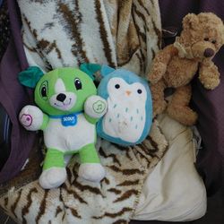 Free Stuff Animals 