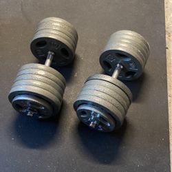 Adjustable Dumbbells (Up To 115 Lb Each Dumbbell)