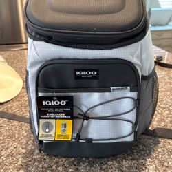 Igloo Cooler Backpack