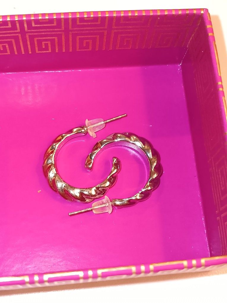 Twisted Hoop Earrings