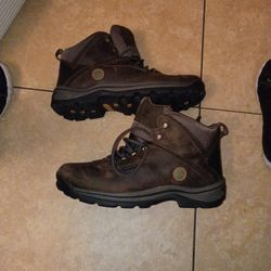 Men Timberlands Size 12