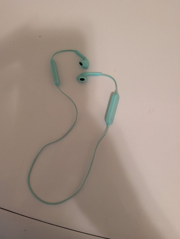 Wireless Blue Tooth Headphones