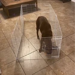 Guinea Pig Cage/set