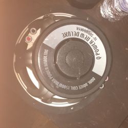 10” Subwoofer W/ Mp Audio Brand Speaker 