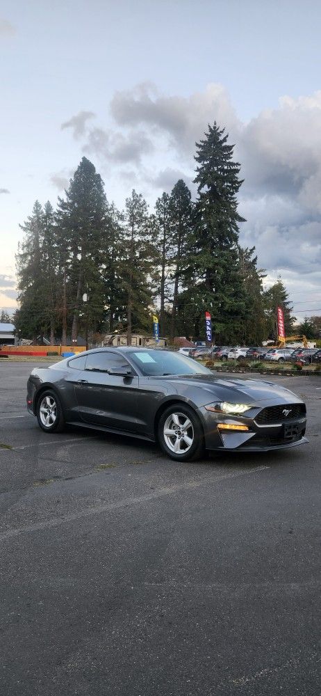 2019 Ford Mustang