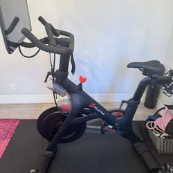 Peloton (original Version) 