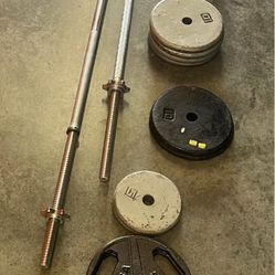 Workout, home gym, weights, weight plates, standard weights, and dumbbell handles