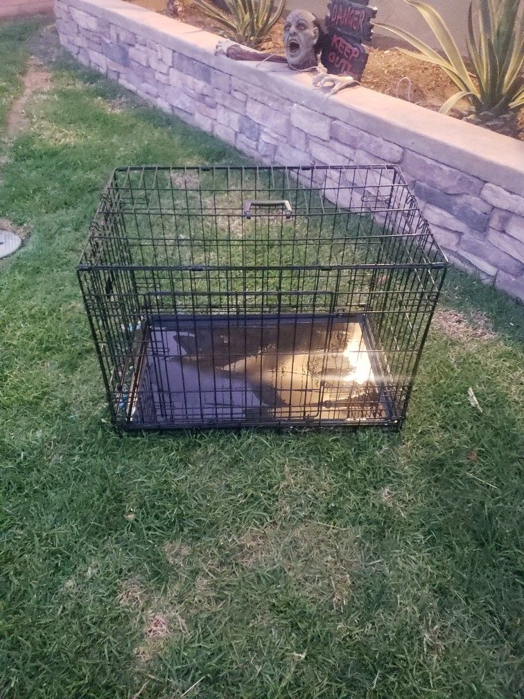 Dog Kennel 