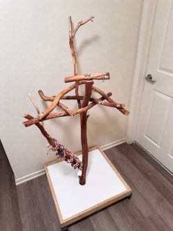 Bird play stand
