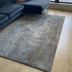 Modern Semi-Shag Rug