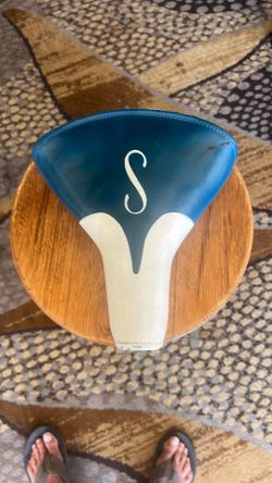 Old Schwinn Seat