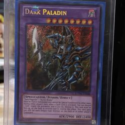 lcyw en022 Dark Paladin unlimited secret rare 