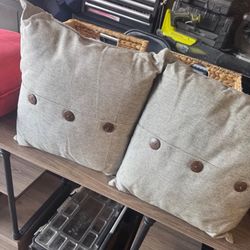 2 Throw Pillows Like New $5 For Both Gilbert And Ray Rd. Check All Pics And Offers.