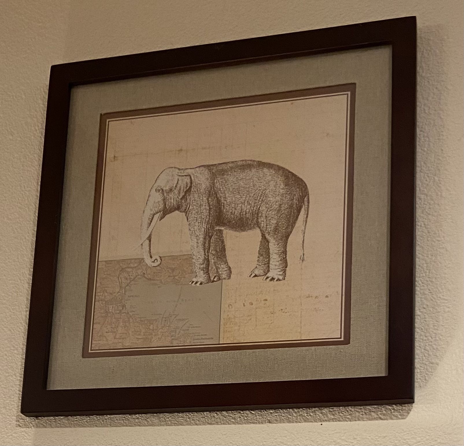 Leopard And Elephant Print