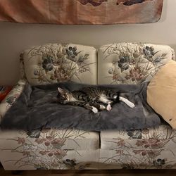 Vintage Floral Couch 