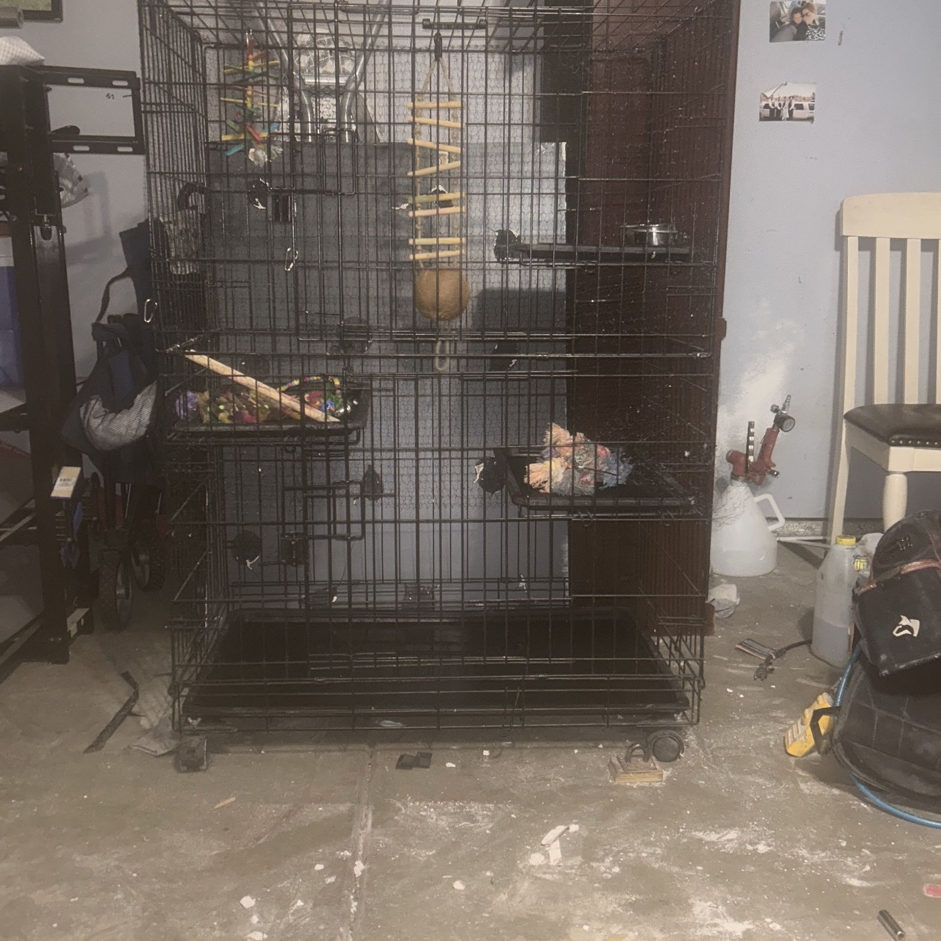 Bird Cage