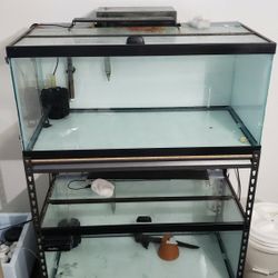 40 Gallon Breeder Fish Tanks