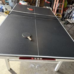 Ping Pong Table 