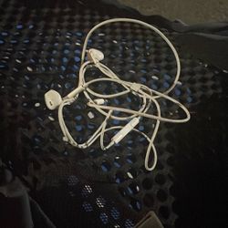 Apple Earbuds