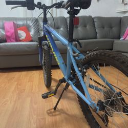 Nishiki Mountain Bike 