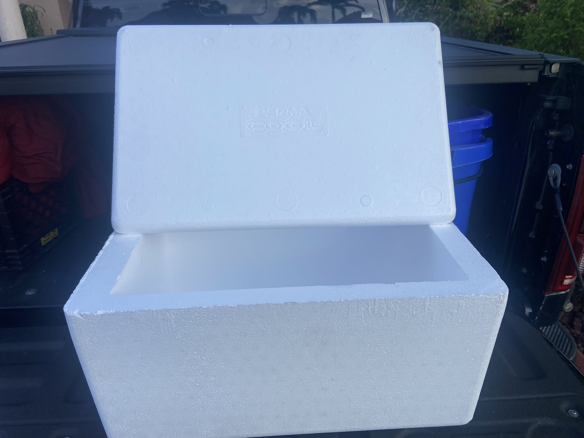 Styrofoam New Coolers