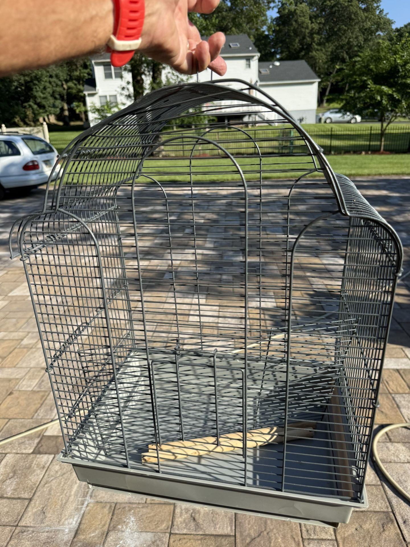 Bird Cage