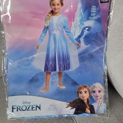 Elsa Frozen Costume 