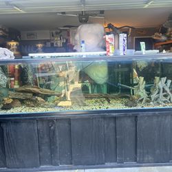Fish tank decoration