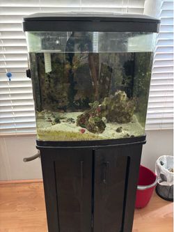 32 Gallon BioCube