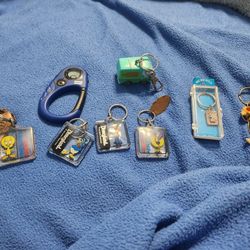 Keychains Disney And Universal Studio