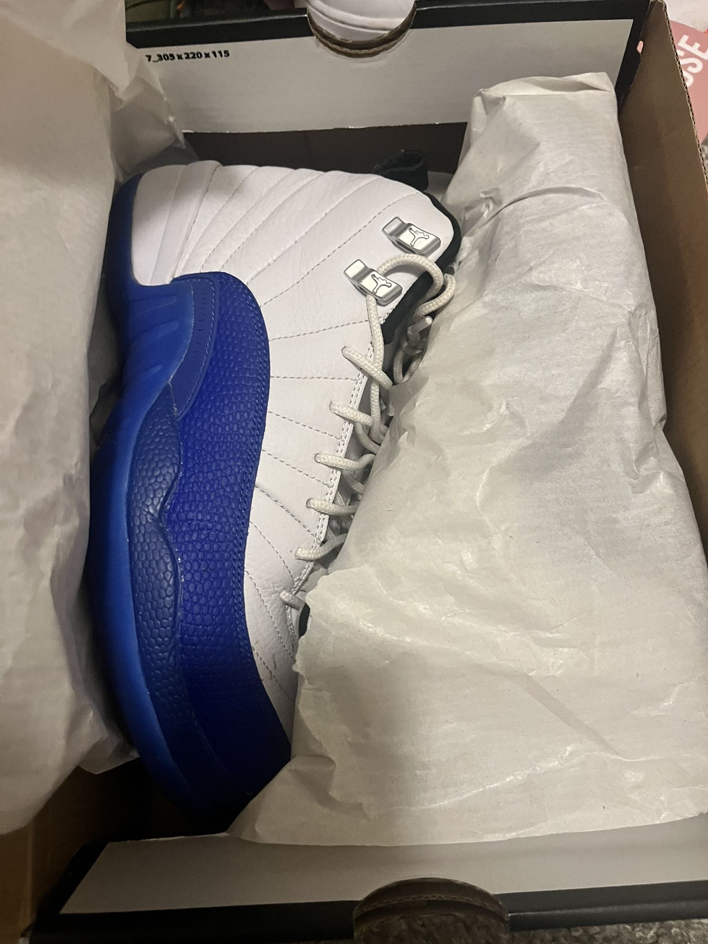 Jordan 12s Blueberry