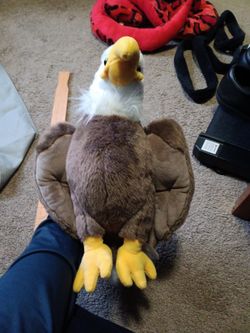 Bald Eagle Stuffed Animal 