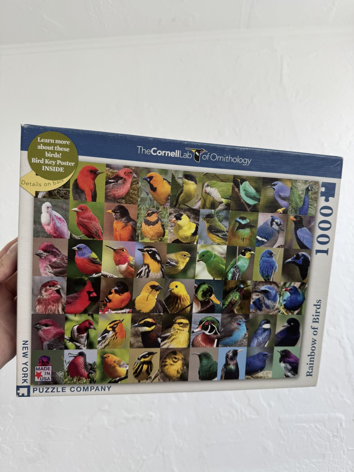 Bird Puzzle
