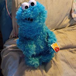 Cookie Monster Stuffed Animal 