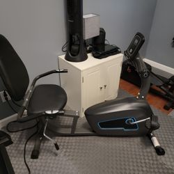 Recumbent Bike