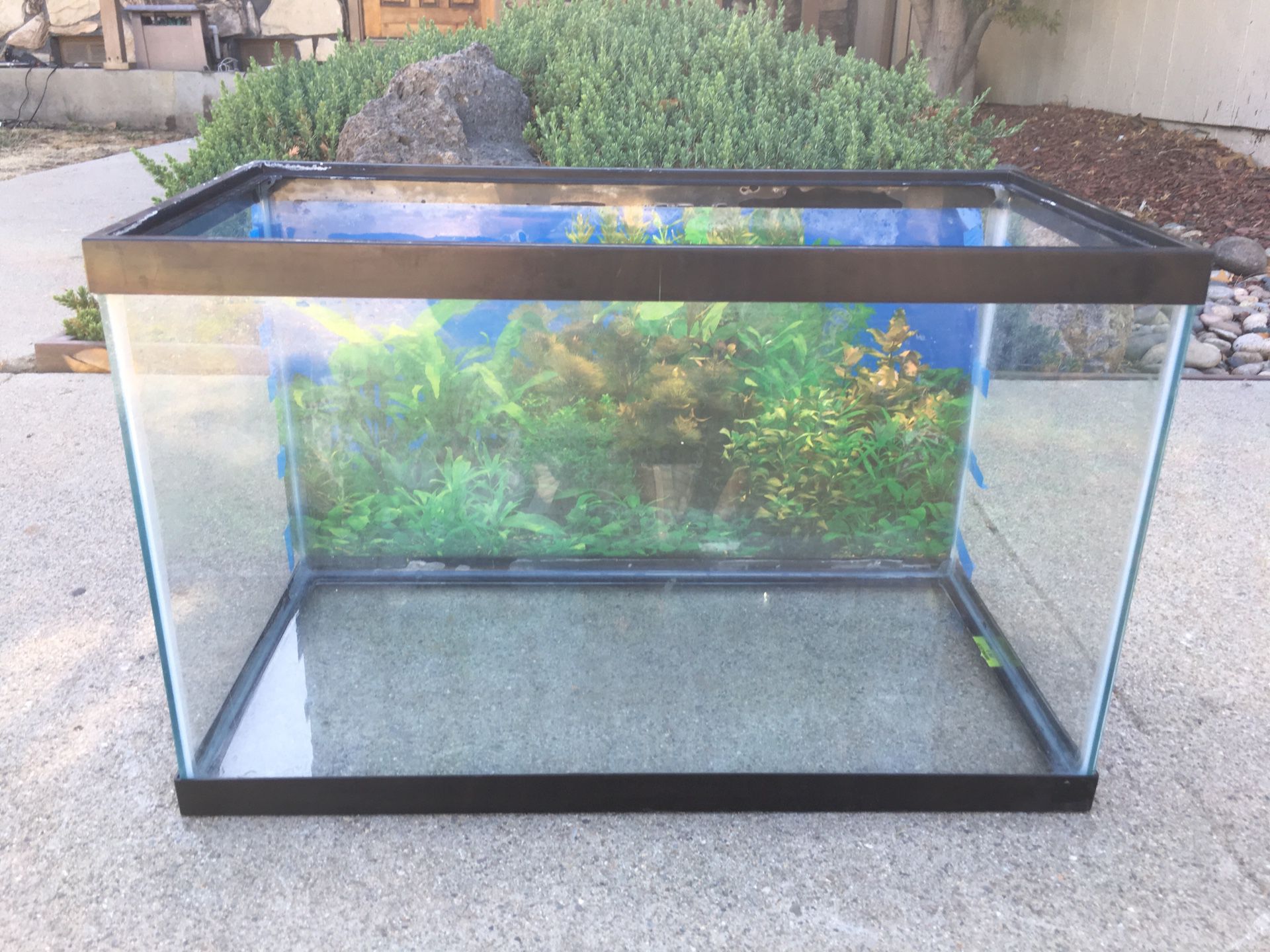 Fish Tank and Accessories