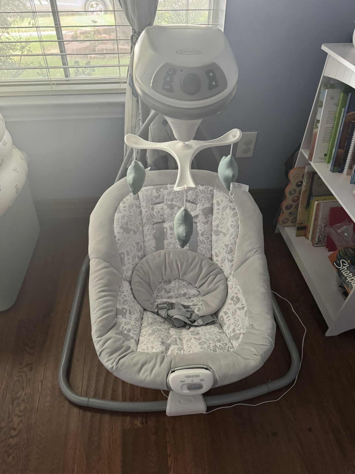 Graco Swing