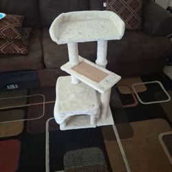 Cat accessories Cat Tree 