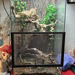 Terrarium 