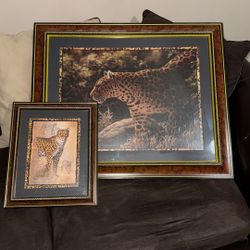 Picture Frames 
